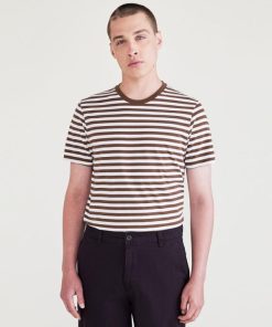 Summitstone.shop31513198b1 1